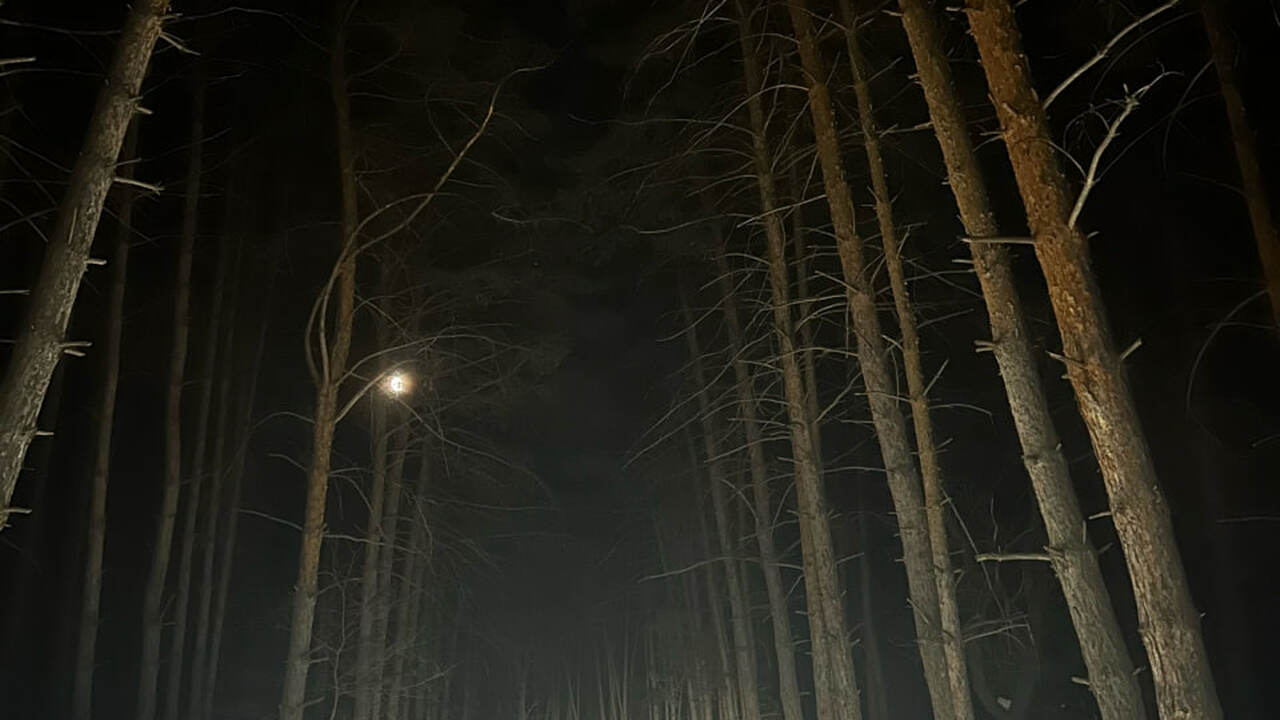 Если хотите вернуться домой, не ходите в лес 29 октября: вспоминаем старинное поверье, связанное с мучеником Лонгином Сотником 29 октября православная церковь отмечает день Л...