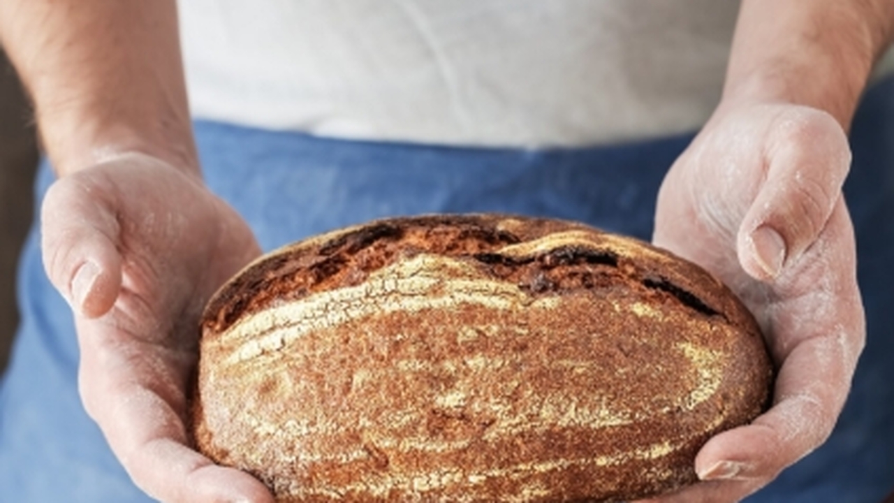 Георгий Станиславович, высококвалифицированный ...